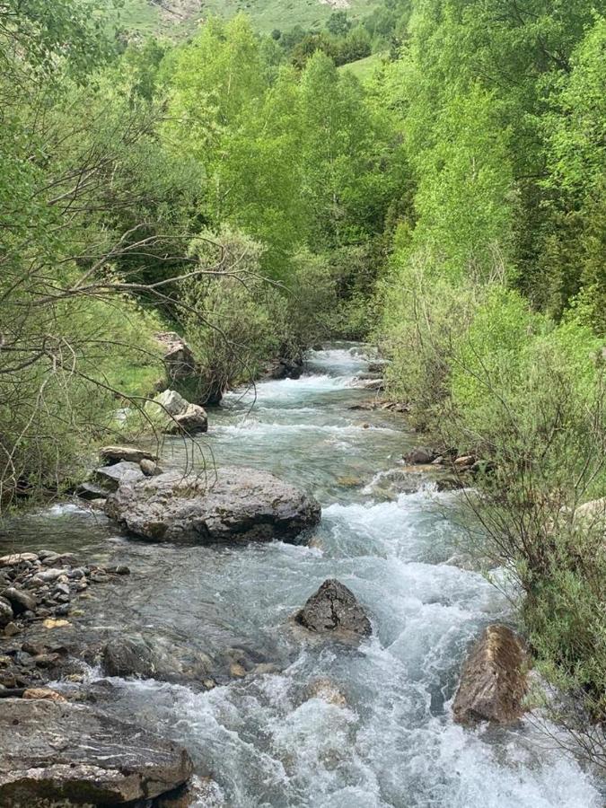 El Estacho De Panticosa Διαμέρισμα Εξωτερικό φωτογραφία