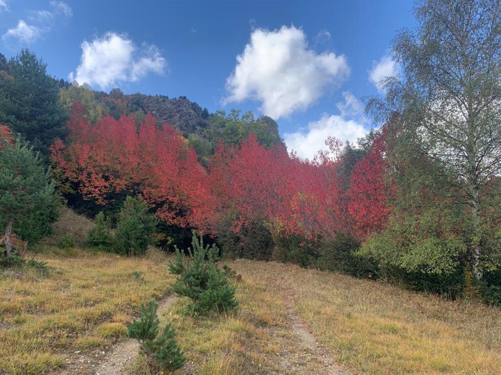 El Estacho De Panticosa Διαμέρισμα Εξωτερικό φωτογραφία